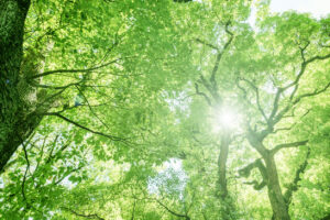 春こそ、自律神経が乱れやすい！？